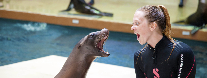 Maxwell and sea lion share expressions