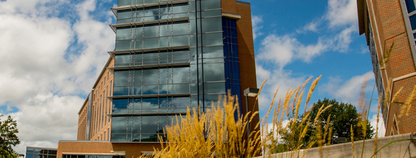 A photo of the exterior of Schmidt Wilson residence hall.